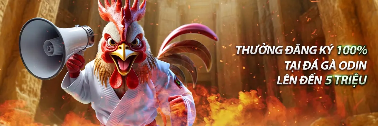 Đá gà bbet win: Đấu trường gà kịch tính